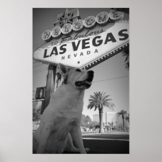 Maggie - Las Vegas-Schild Poster