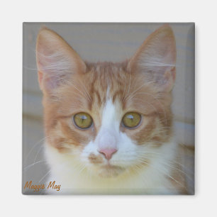 Maggie peut aimant