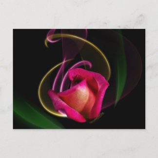 Magic Carousel Rose Postcards Postkarte