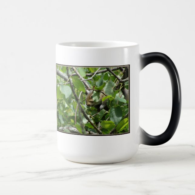 Magic Écureuil masquant la Mug (Droite)