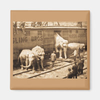 Magic Lantern Slide Ringling Bros Elephant Train