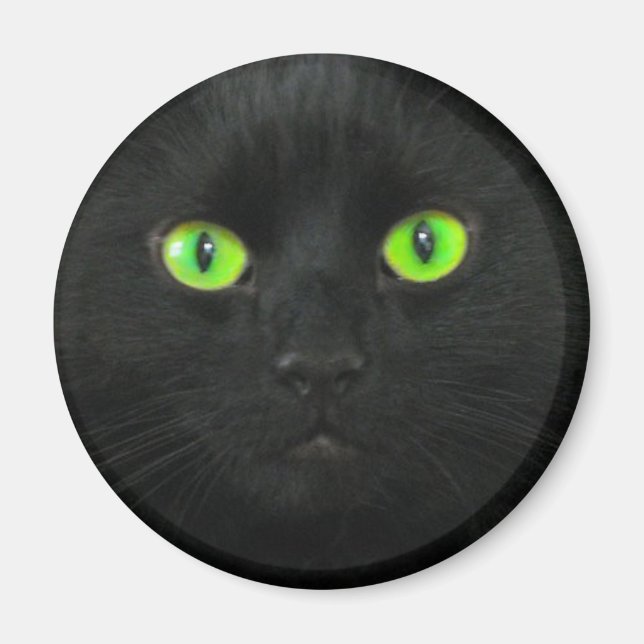 Magic Magnet (Vorne)