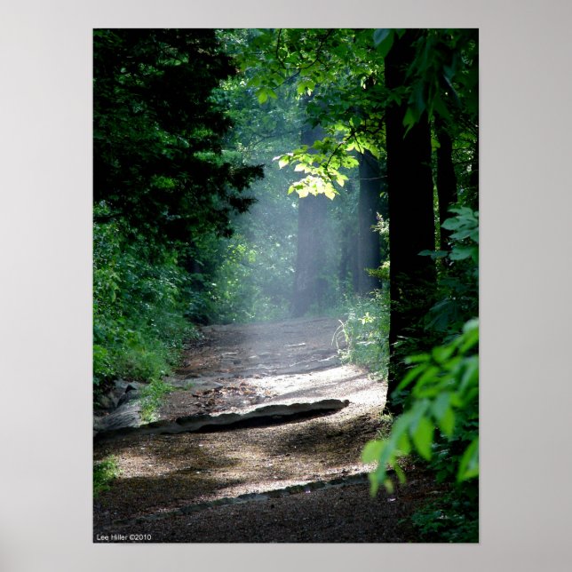 Magic Morning Light on the Forest Trail Poster (Vorne)