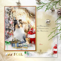 Magic Pets Christmas, Blue Merle Collie & Kitten -