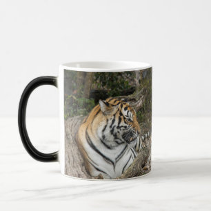 Magic Tiger Mug