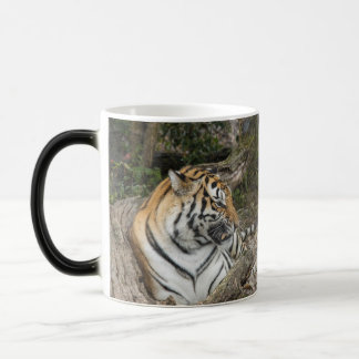 Magic Tiger Mug