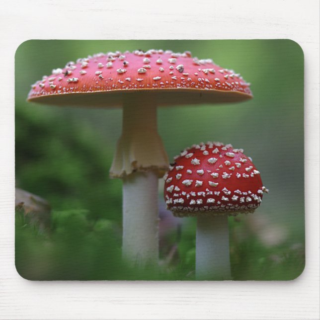 Magical Mushrooms Mousepad (Vorne)