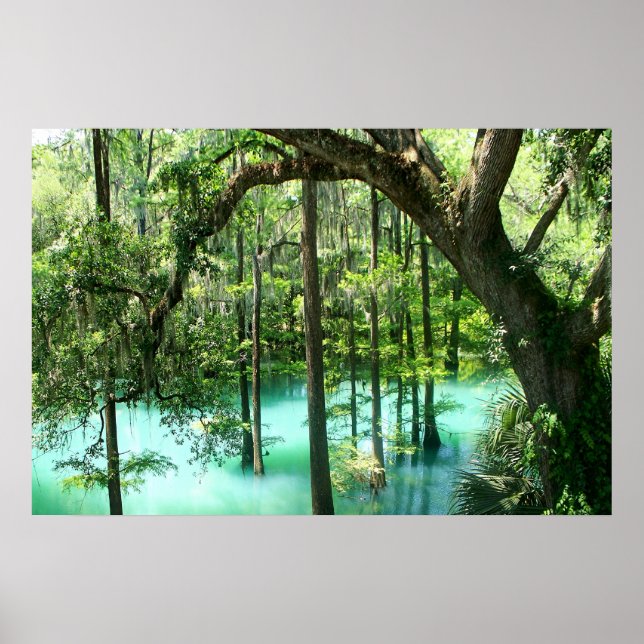 Magical Radium Springs Park Poster (Vorne)