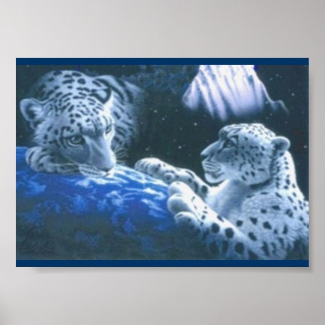 Magical Tigers Poster (Vorne)