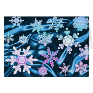 Magie et merveille des flocons #3 de neige