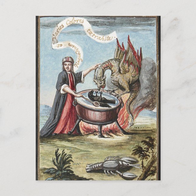 Magier und Drache im Kessel der Alchemie Postkarte (Vorderseite)
