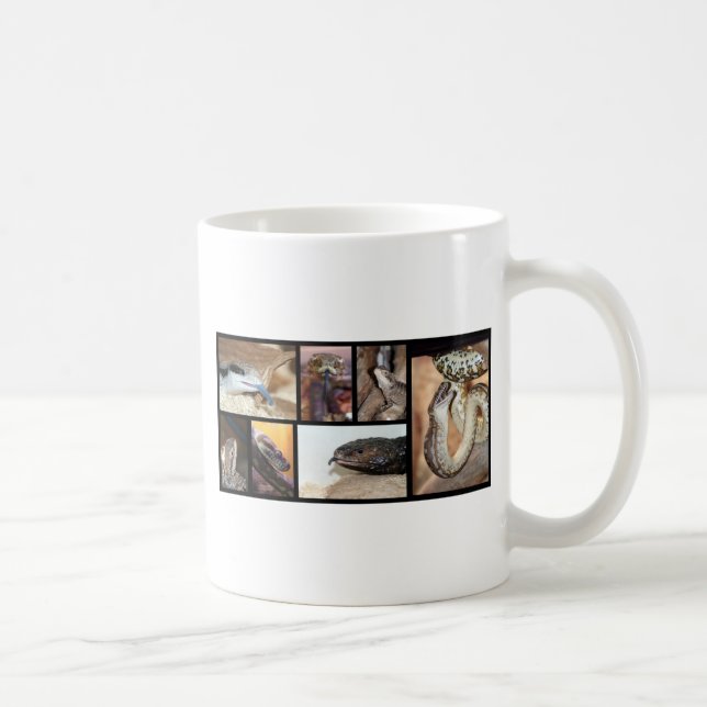 Magies Reptilien Kaffeetasse (Rechts)