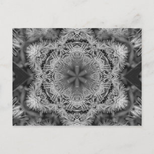 magique nature mandala horizontale carte postale
