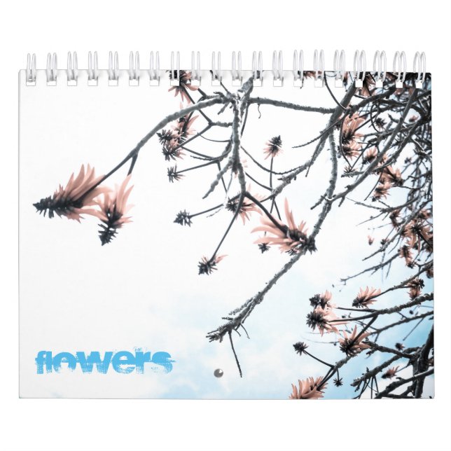 Magische Blume Kalender (Titelbild)