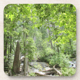 Magische grüne Waldszene. Getränkeuntersetzer