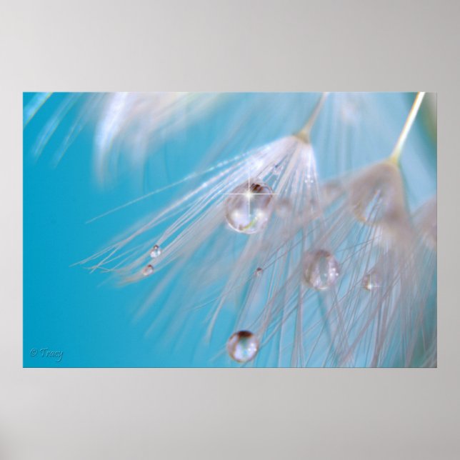 Magische Lüster Poster (Vorne)