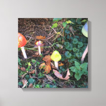 Magische Mushroom Garden Fotografisch Canvas Print