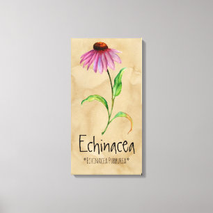 Magische Pflanze Echinacea 13.22'' x 25.52'' Leinw Leinwanddruck