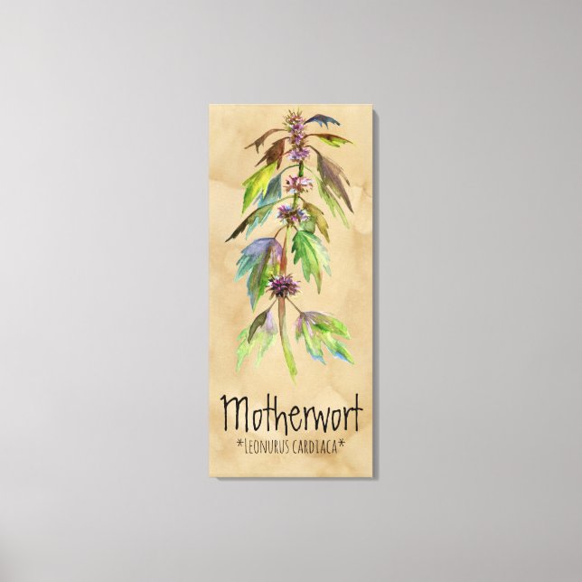 Magische Pflanze Mutterkraut 18.30'' x 41.73'' Lei Leinwanddruck (Vorderseite)
