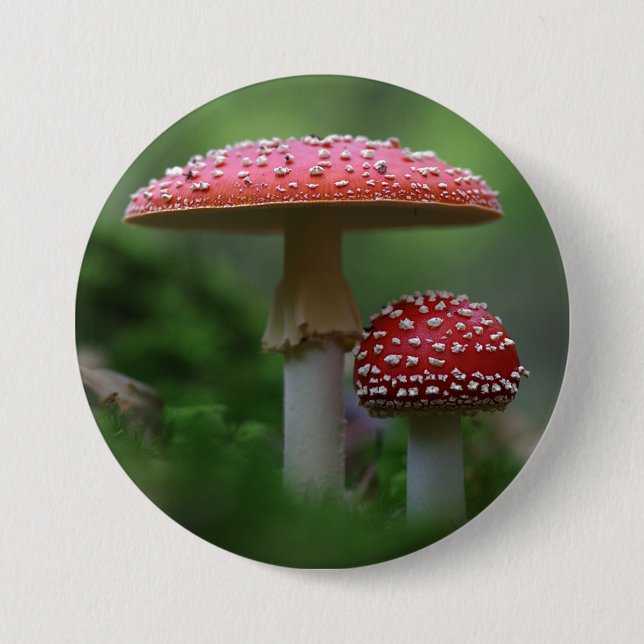 Magische Pilze Button (Vorderseite)
