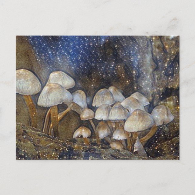 Magische Pilze Postkarte (Vorderseite)