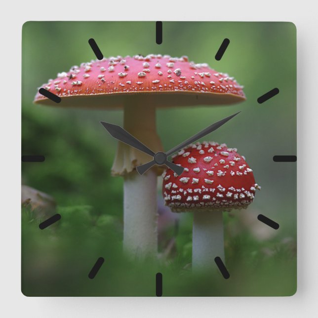 Magische Pilze Quadratische Wanduhr (Vorderseite)