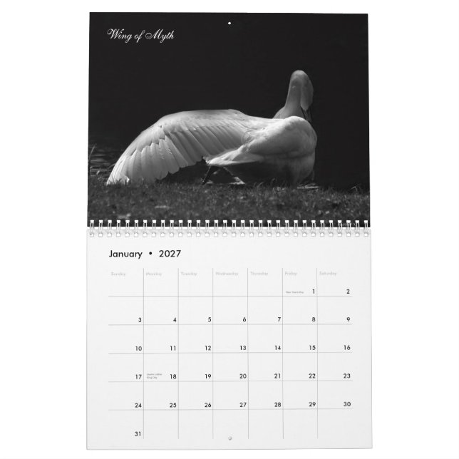 Magische Schwäne 2011 Kalender (Jan 2027)