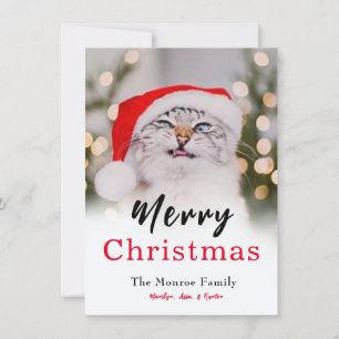 Magische Weihnachtskatzenkarte Foto Feiertagskarte