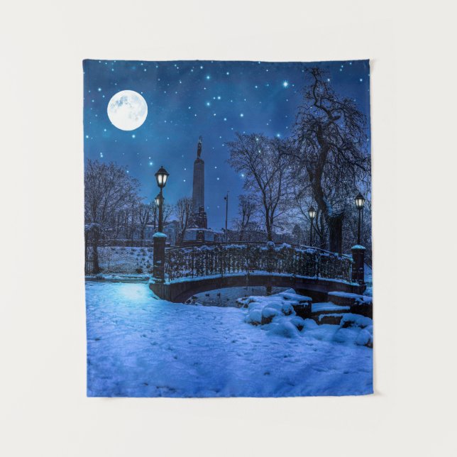 Magische Winternacht mit Sternenhimmel und Vollmon Wandteppich (Vorderseite)