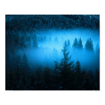 Magischer Nebel in schneebedecktem Fichtenwald