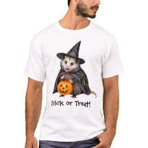 Magischer Opossum