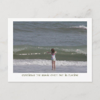Magisches Florida. Postkarte