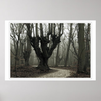 Magisches Holz Poster