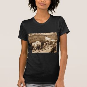 Magisches Laternenbild Ringling Bros Elefantenzug T-Shirt