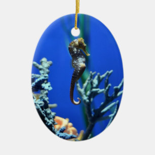 Magisches Seepferd Keramik Ornament