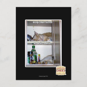 Magishun Kitteh Postkarte
