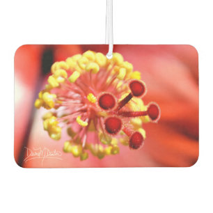 Magma Hibiskus Narbe Autolufterfrischer