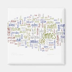 Magna Carta (Lateinisch) Magnet