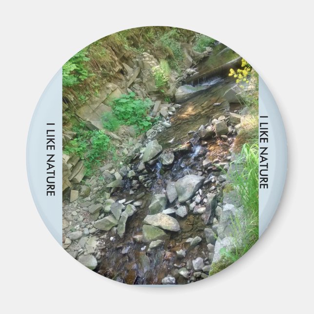 Magnesium am Kühlschrank Magnet (Vorne)