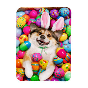  MAGNET