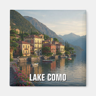 Magnet