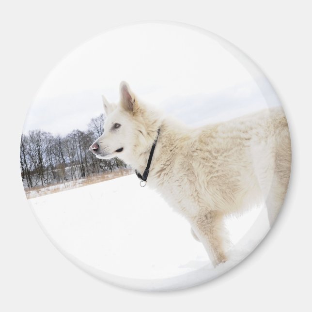 Magnet (Vorne)
