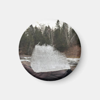 Magnet