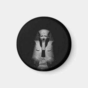 Magnet