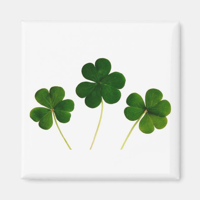 🍀 MAGNET (Vorne)