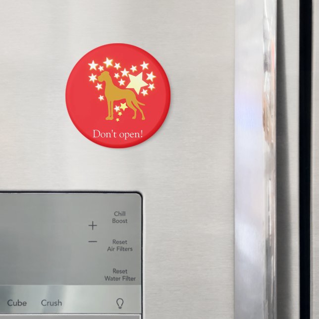 Magnet (In Situ (Kühlschrank))