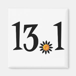 Magnet 13,1