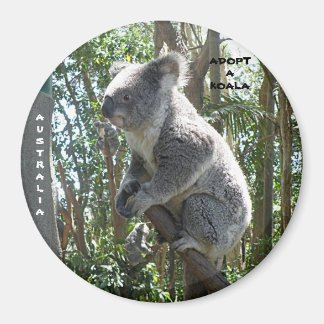Magnet Adoptierte A Koala Australien ZIZAGO