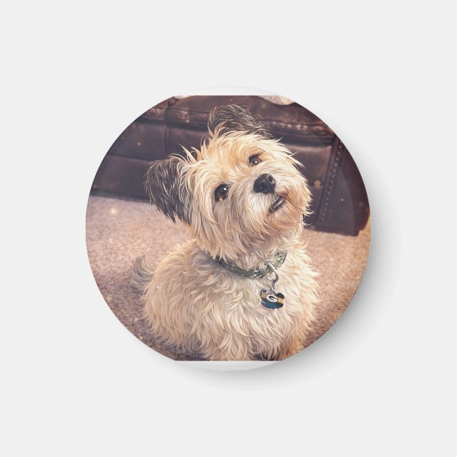 Magnet Adorable Terrier Puppy (Vorne)