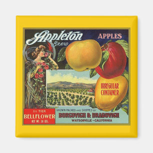 MAGNET ~ APPLETON BRAND APPLES VINTAGES OBSTETIKET